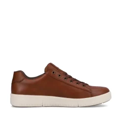 B7120 Men's Steve